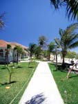 Roatan Island Cabin Rentals