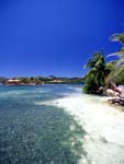 Gorgeous Tropical Beach in Roatan Honduras