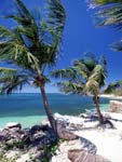 Roatan Beach