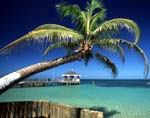 Beautiful Caribbean Sea View