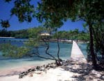 Ocean Dock in Roatan Honduras