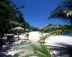 Roatan White Sand Beach