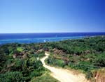 Ocean View from West Bay Road, Roatan, Honduras